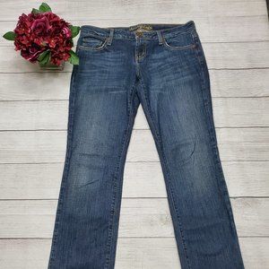 American Eagle AE Straight 77 Blue Jean Size 8